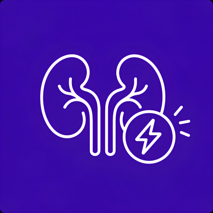 Kidney Function